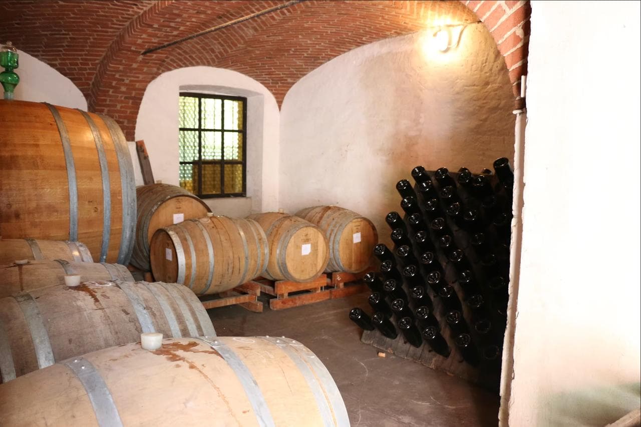 Agliè e la Sagra del Torcetto — 2