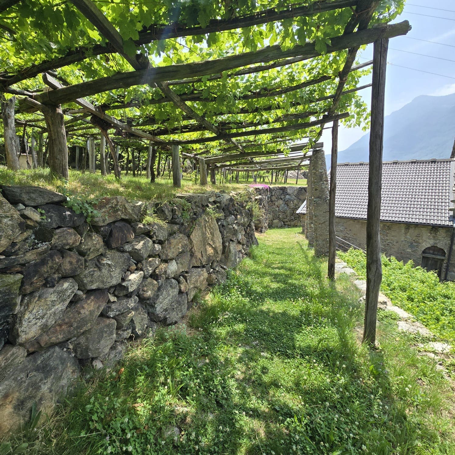Carema e le sue terrazze d'incanto